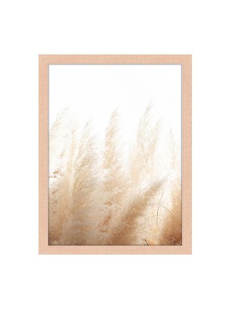 Ingelijste digitale print Pampa Grass, Afbeelding: digitale print op papier,, Lijst: gelakt hout, Beigetinten, B 33 cm x H 43 cm