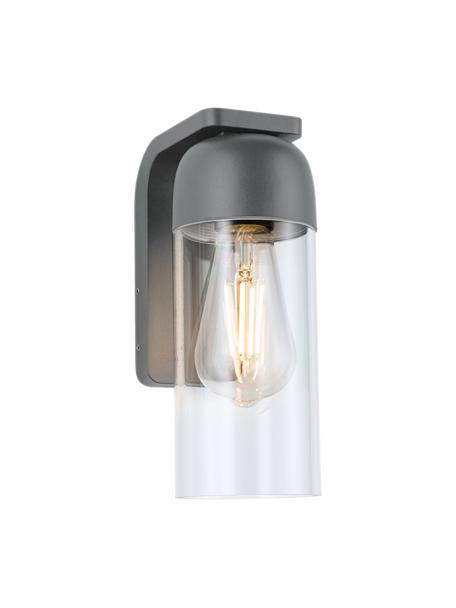 Outdoor wandlamp Lantea met glazen lampenkap, Lampenkap: glas Wandbevestiging, Transparant, grijs, B 9 x H 24 cm