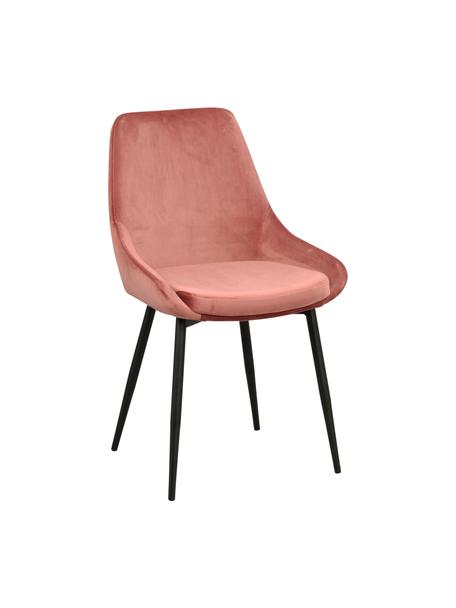 Fluwelen stoelen Sierra in roze, 2 stuks, Bekleding: polyester fluweel, Poten: gelakt metaal, Fluweel roze, poten zwart, B 49 x D 55 cm