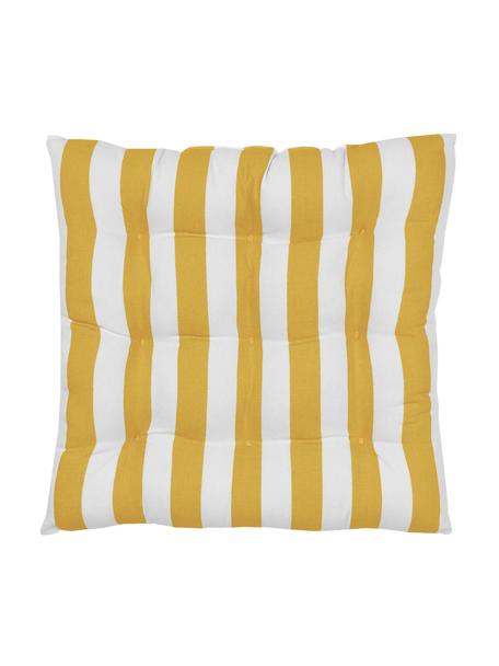 Cojín de asiento a rayas Timon, Funda: 100% algodón, Amarillo, blanco, An 40 x L 40 cm