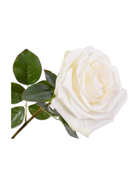 Róża dekoracyjna, 2 szt., Tworzywo sztuczne, metalowy drut, Biały, D 68 cm