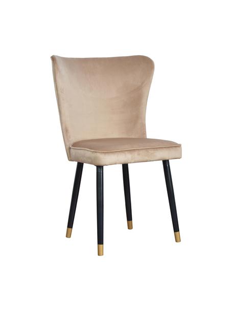 Sedia imbottita in velluto Monti, Rivestimento: velluto (100% poliestere), Gambe: legno, impiallacciato, Velluto beige, nero, dorato, Larg. 55 x Prof. 66 cm