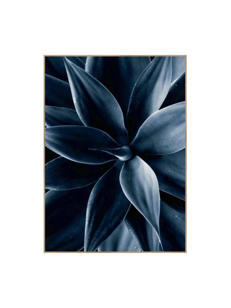 Impression numérique encadrée Dark Plant I, Noir, bleu, larg. 50 x haut. 70 cm