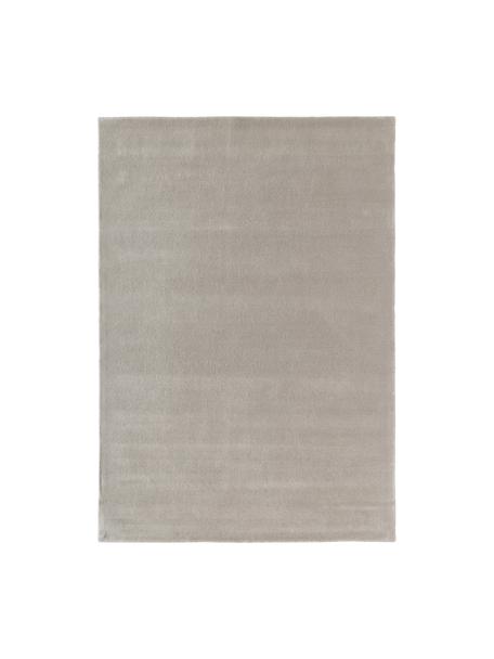 Handgetufteter Kurzflor-Wollteppich Jadie, Flor: 100 % Wolle, RWS-zertifiz, Beige, B 160 x L 230 cm (Größe M)