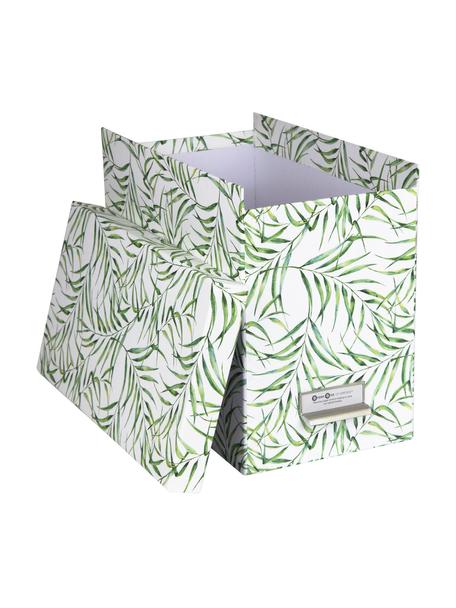 Set scatola-archivio per documenti Johan 9 pz, Organizer: cartone solido laminato, Manico: metallo, Bianco, verde, Larg. 19 x Alt. 27 cm