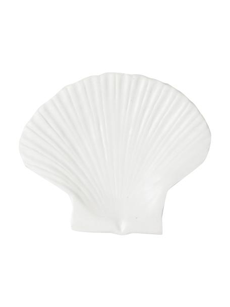 Dessertteller Shell aus Dolomit, Dolomit, Weiß, B 16 x L 13 cm