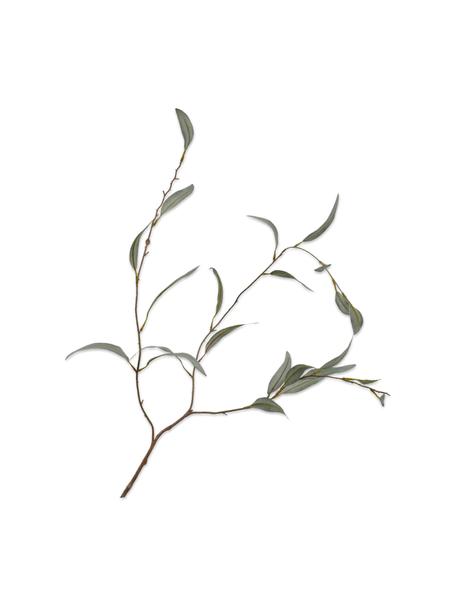 Flor artificial Olive, Plástico, alambre de metal, Verde, marrón, L 96 cm