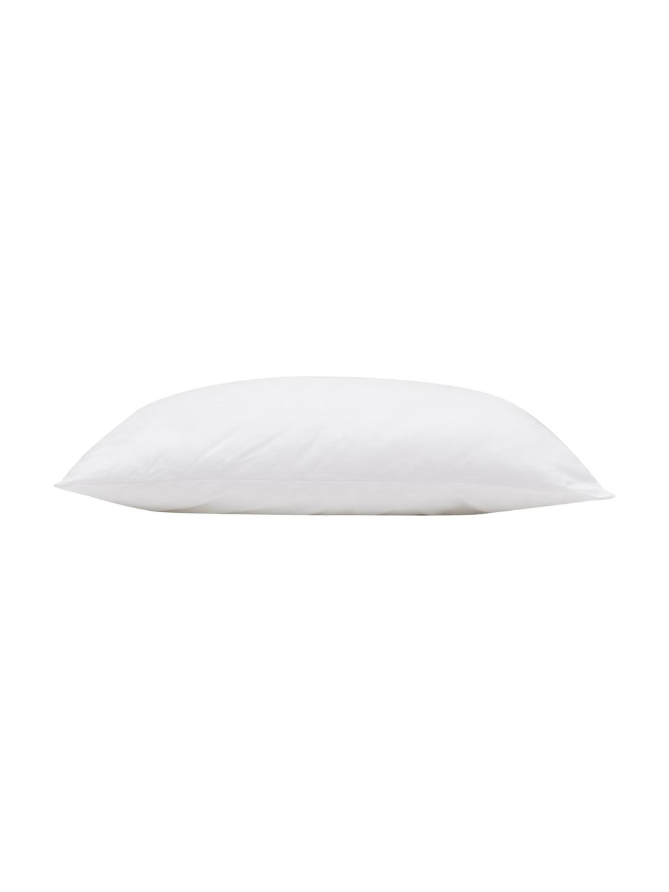 Coussin siège bureau