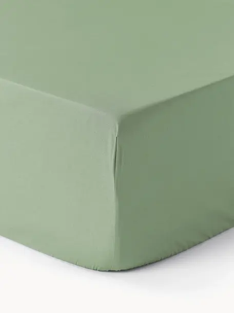 Lenzuolo con angoli in cotone percalle Elsie, Verde salvia, Larg. 90 x Lung. 200 cm, Alt. 25 cm