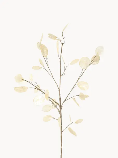 Branche décorative Laluna, Plastique, Tons beiges, larg. 15 x haut. 91 cm