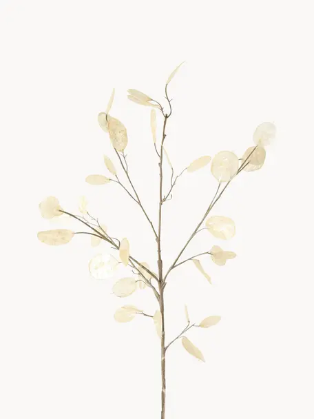 Ramo decorativo Laluna, Plastica, Tonalità beige, Lunghezza 91 cm