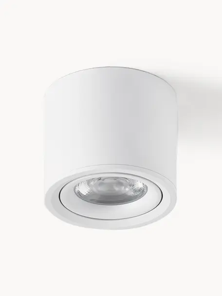 Stropná bodová LED lampa Alivia, Kov s práškovým náterom, Biela, Ø 9 x V 7 cm