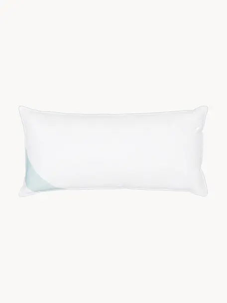 Almohada de plumas Standard, firmeza media, Funda: 100% algodón, tejido fino, Blanco, An 40 x L 80 cm