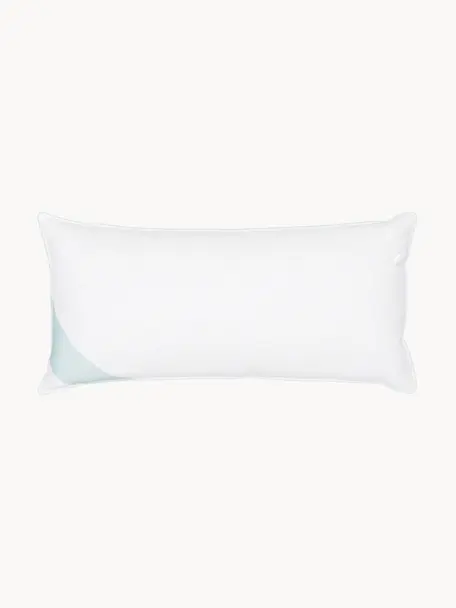 Almohada de plumas Comfort, media, Firmeza media, An 45 x L 85 cm