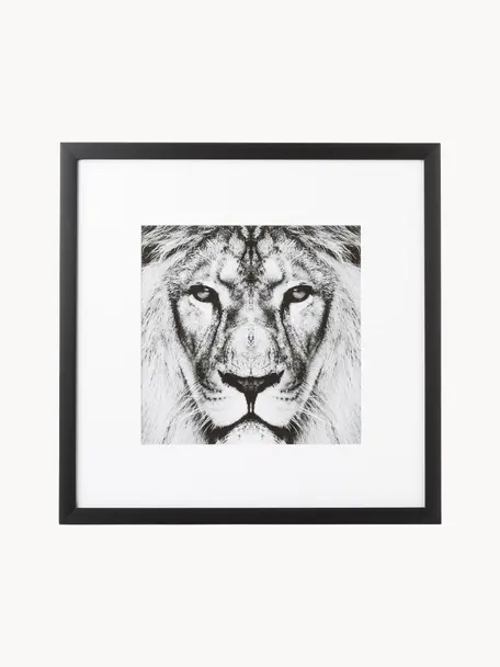 Ingelijste digitale print Lion Close Up, Lijst: kunststofframe met glas, Zwart, wit, B 40 x H 40 cm