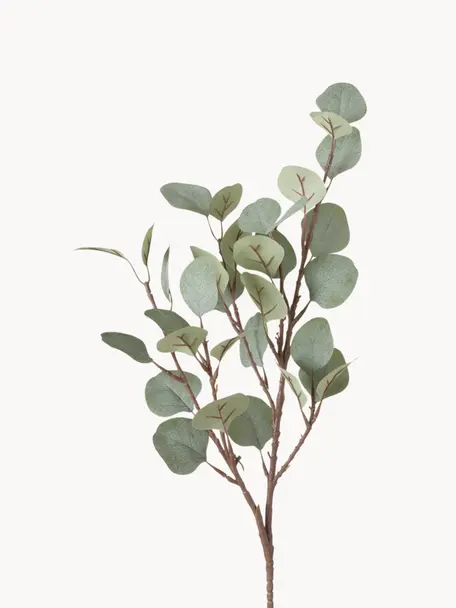Decoratieve tak Eukalyptus, Kunststof, Bruin, saliegroen, L 69 cm