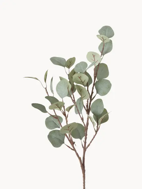 Branche décorative Eucalyptus, Plastique, Brun, vert sauge, long. 69 cm