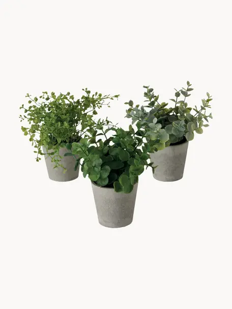 Plantas artificiales con macetas Timothy, 3 uds., Plástico, Verde, gris, L 18 cm