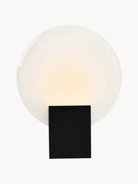 Aplique regulable LED Hester, Pantalla: vidrio, Anclaje: plástico, Negro, blanco, An 20 x Al 26 cm