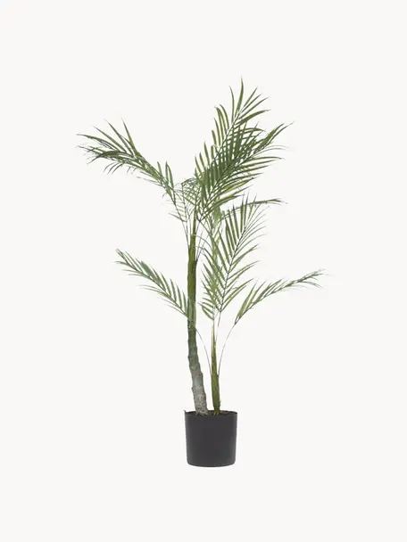 Kunstpflanze Palme im Übertopf, Kunststoff, Grün, Schwarz, L 84 cm