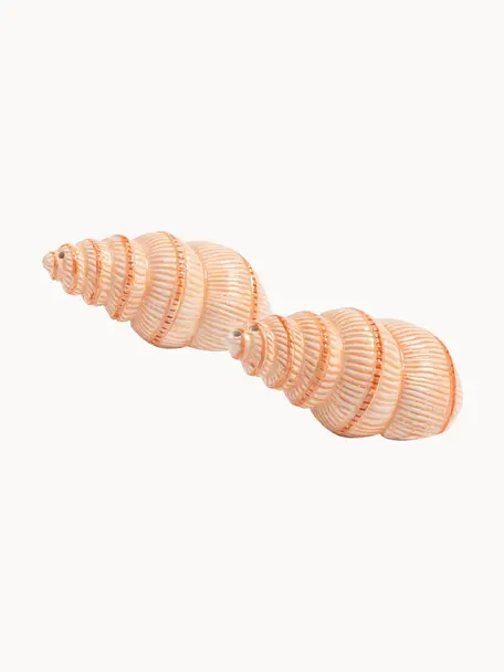 Handbemalte Salz- & Pfefferstreuer Shell aus Dolomit, 2er-Set, Dolomit, glasiert, Orange, Peach, B 10 x H 4 cm