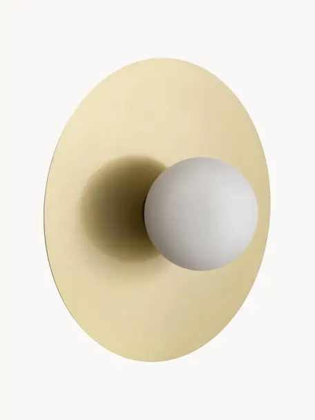 Kinkiet/lampa sufitowa LED Starling, Osłona mocowania sufitowego: odcienie mosiądzu, matowy Klosz: biały, Ø 33 x G 14 cm