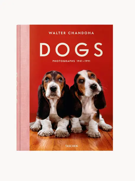 Bildband Dogs. Photographs 1941–1991, Papier, Hardcover, Dogs. Photographs 1941–1991, B 24 x H 32 cm