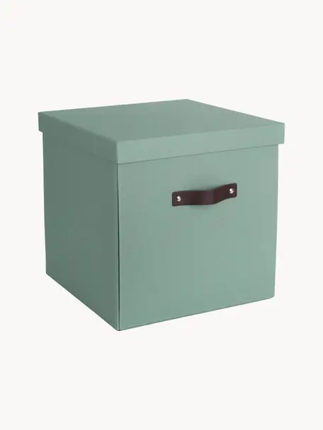 Úložný box Logan, Šalvějově zelená, Š 32 cm, H 32 cm