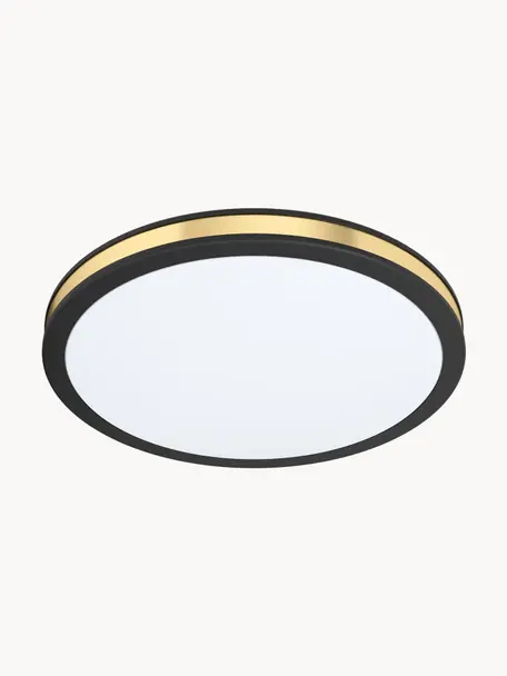 Malé stropné LED svietidlo Pescaito, Čierna, odtiene zlatej, Ø 28 x V 7 cm