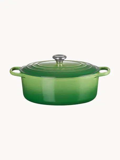 Ovale braadpan Signature Collection uit gietijzer, Geëmailleerd gietijzer, Groentinten, B 31 cm x H 18 cm, 6,3 L