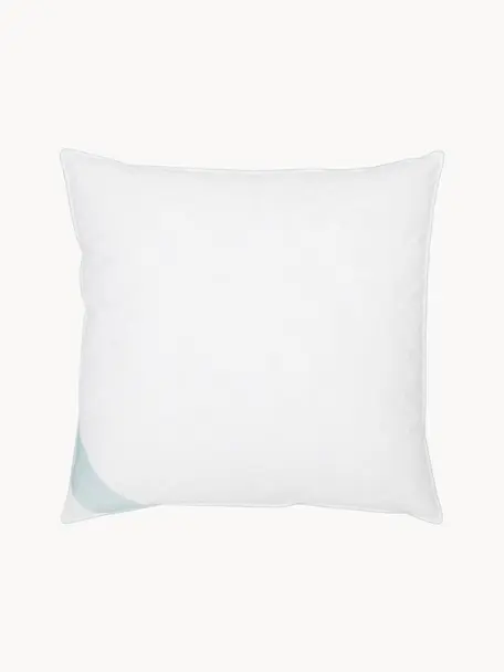 Almohada de plumas Comfort, dura, Funda: 100% algodón, sarga de Ma, Blanco con ribete turquesa satinado, An 65 x L 65 cm