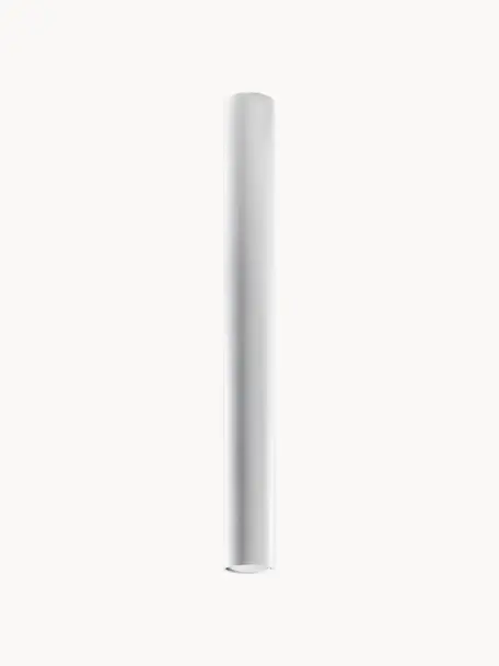 Faretto da soffitto Castro, alt. 60 cm, Acciaio rivestito, Bianco opaco, Ø 6 x Alt. 60 cm