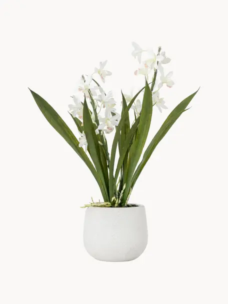 Handgefertigte Kunstblume Orchid mit Übertopf, Übertopf: Keramik, Grün, Weiß, L 41 cm