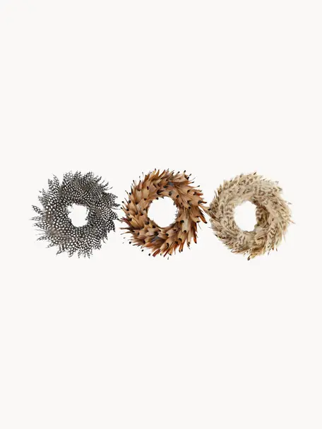 Couronne décorative de plumes Natural Ø 15 cm, 3 élém., Multicolore, Ø 15 x haut. 4 cm