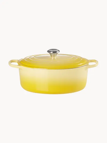 Ovale braadpan Signature Collection uit gietijzer, Geëmailleerd gietijzer, Geeltinten, B 31 cm x H 18 cm, 6,3 L