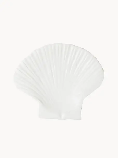 Dessertteller Shell aus Dolomit, Dolomit, Weiß, B 16 x L 13 cm
