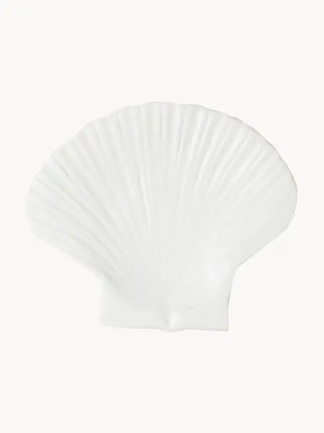 Plato postre de dolominta Shell, Dolomita, Blanco, An 16 x L 13 cm