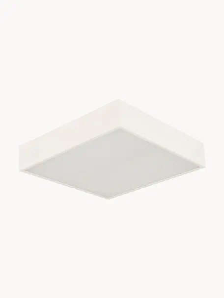 Plafoniera da bagno piccola a LED Zeus, Struttura: alluminio rivestito, Bianco latte, Larg. 30 x Alt. 6 cm