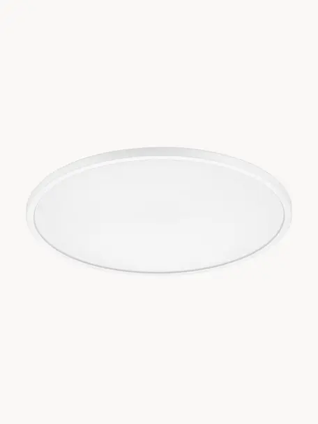 Plafón pequeño LED regulable Oja, Plástico, Blanco, Ø 42 x Al 2 cm