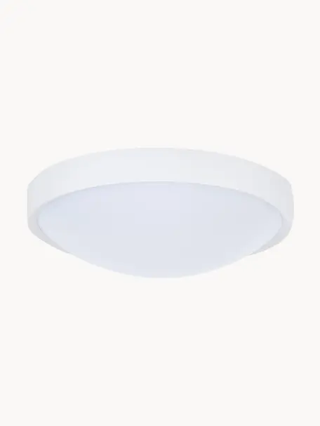 Plafón pequeño LED Altus, Pantalla: plástico, Blanco, Ø 30 x Al 9 cm