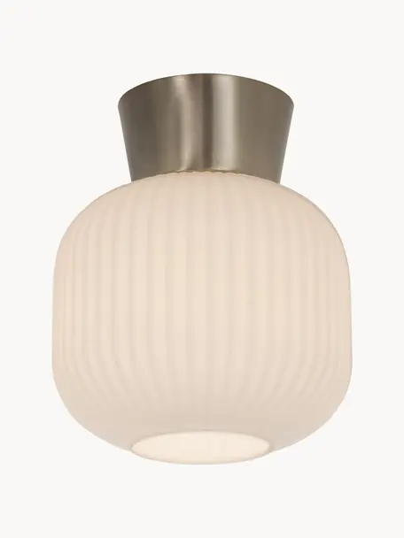 Kleine plafondlamp Vanja, Lampenkap: glas, Wit, zilverkleurig, Ø 20 x H 24 cm