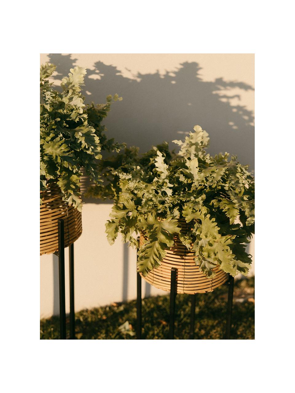 Obal na kvetináč z polyratanu s kovovou konštrukciou Synthia, Hnedá, čierna, Ø 26 x V 62 cm