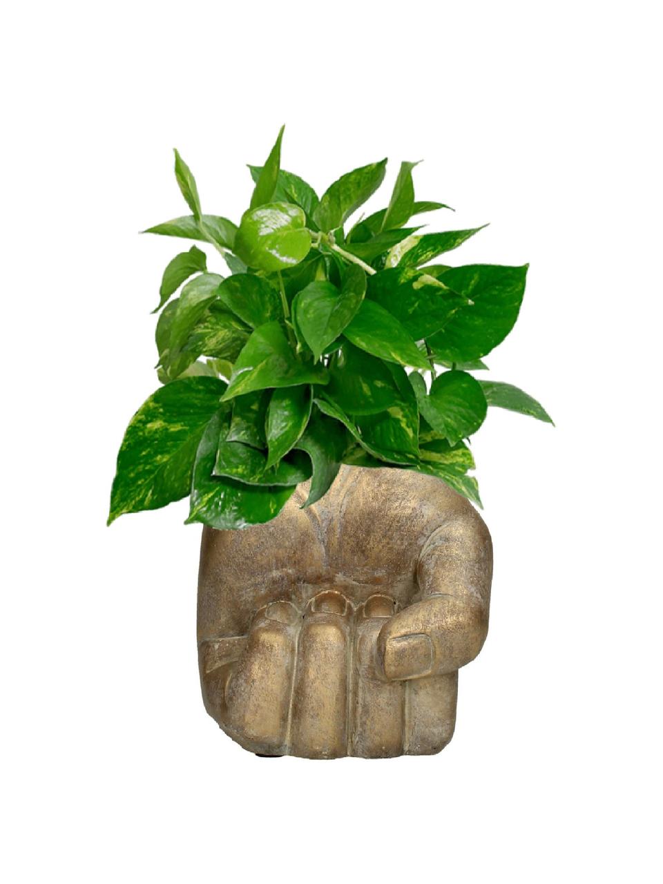 Plantenpot Hand, Beton, Goudkleurig, B 13 cm x H 15 cm