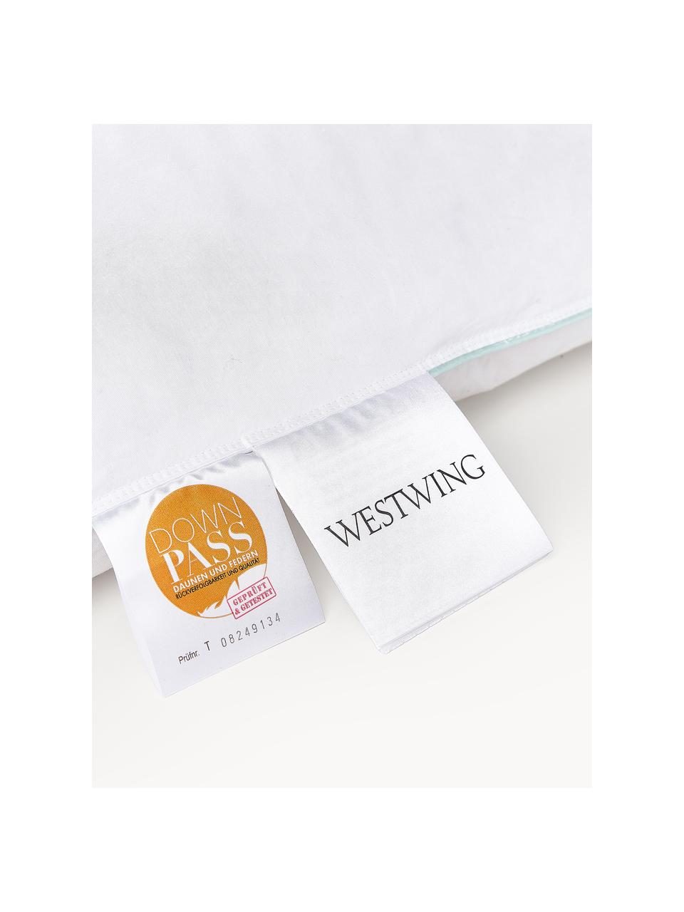 Cuscino medio Comfort, Bianco con fascia di stoffa in raso turchese, Larg. 80 x Lung. 80 cm