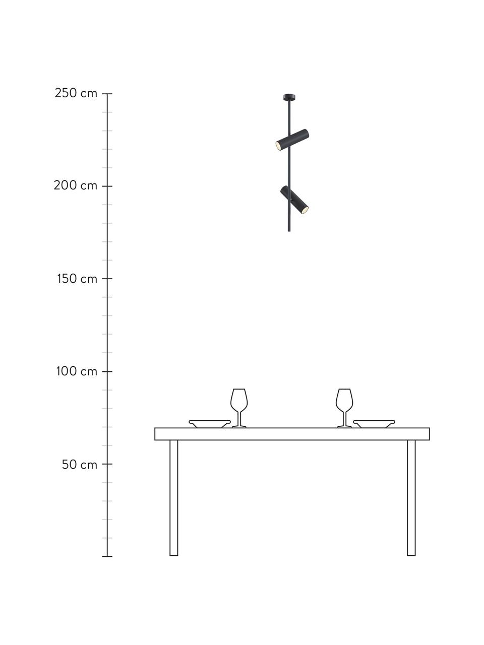 Moderne plafondlamp Elti in zwart, Baldakijn: gepoedercoat aluminium, Zwart, B 20 x H 77 cm