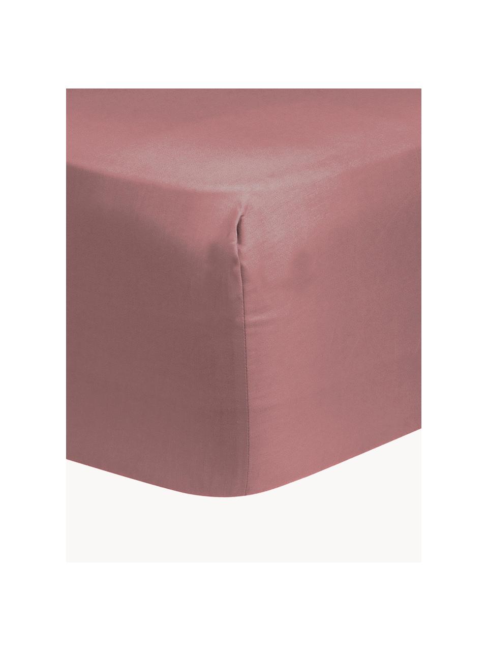 Drap-housse en satin de coton Comfort, Rouge pastel, larg. 140 x long. 200 cm