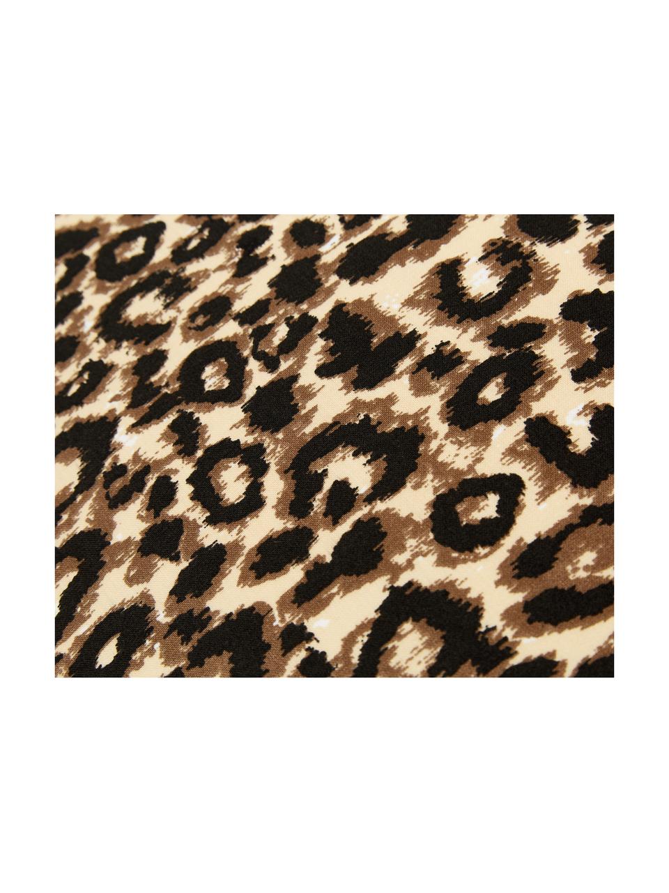 Set lenzuola in cotone  Leopard, Cotone, Marrone, beige, 250 x 280 cm