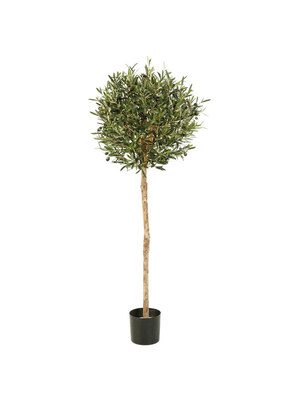 Planta artificial Olivo, Poliéster, tronco de materiales naturales, Verde, Ø 45 x Al 130 cm