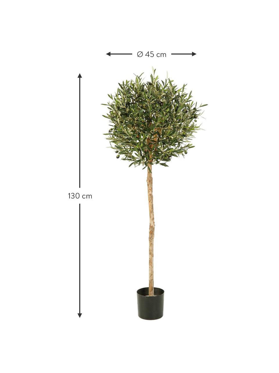 Planta artificial Olivo, Poliéster, tronco de materiales naturales, Verde, Ø 45 x Al 130 cm