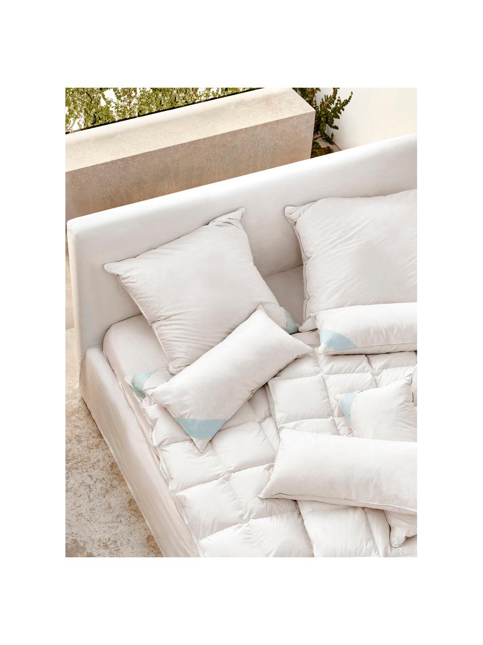 Almohada 3 cámaras Premium, firmeza alta, Exterior: plumas blancas nuevas (90, Interior: plumas nuevas blancas, cl, Funda: 100% algodón Mako, Duro, An 80 x L 80 cm